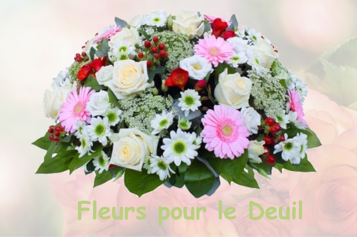 fleurs deuil TASSIN-LA-DEMI-LUNE